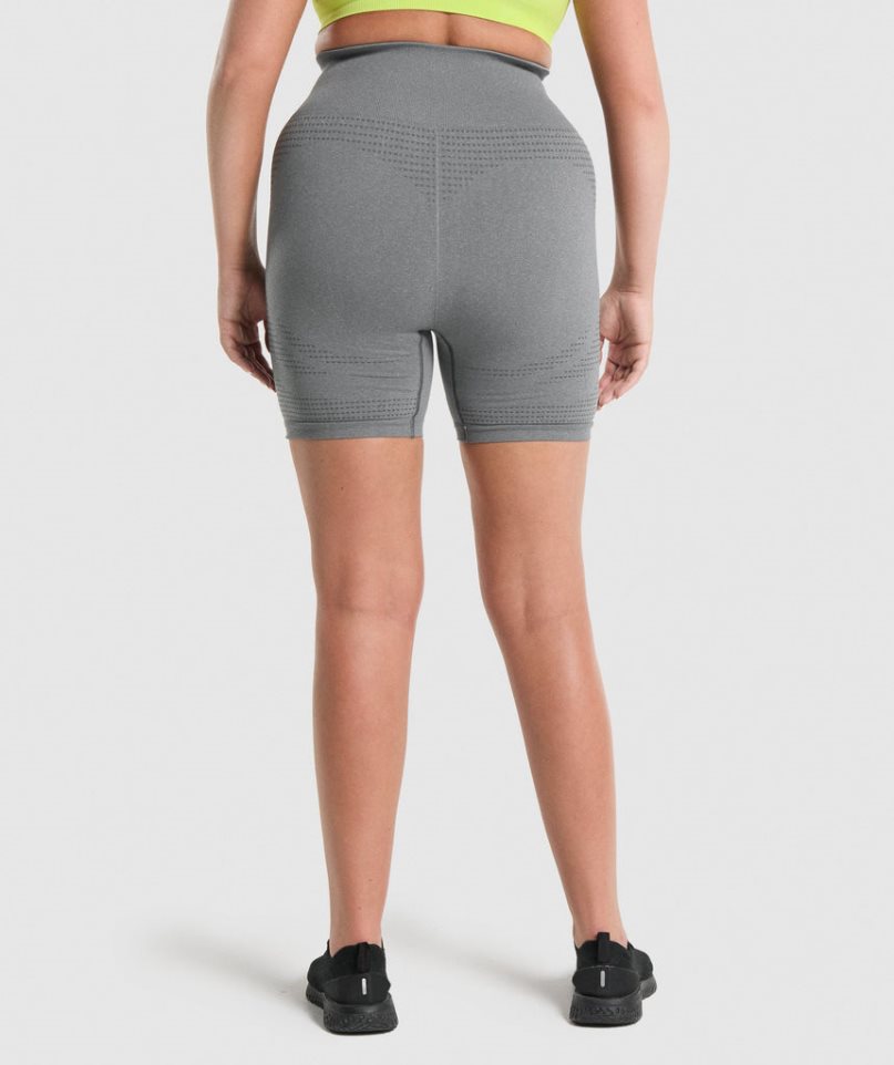 Szorty Gymshark Vital Seamless 2.0 Damskie Szare | PL 157SKE